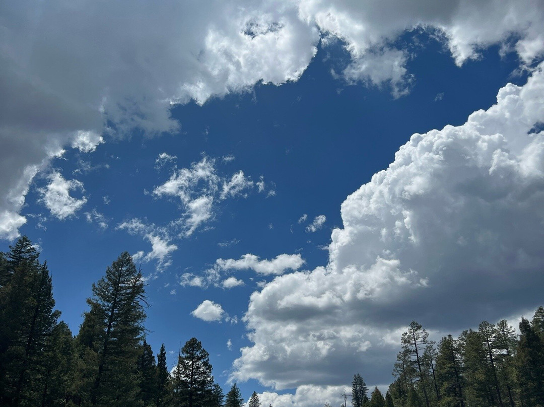 Woods Canyon Lake-Forest Lakes必去景点