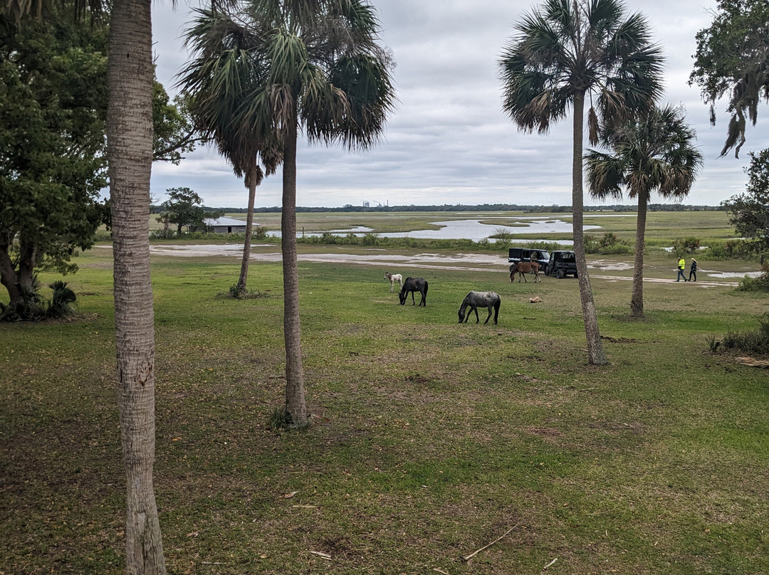 Cumberland Island National Seashore Museum-St. Marys必去景点
