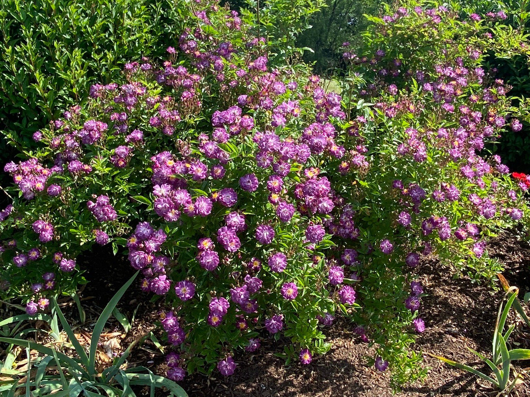 Boothe Memorial Park and Museum-Stratford必去景点