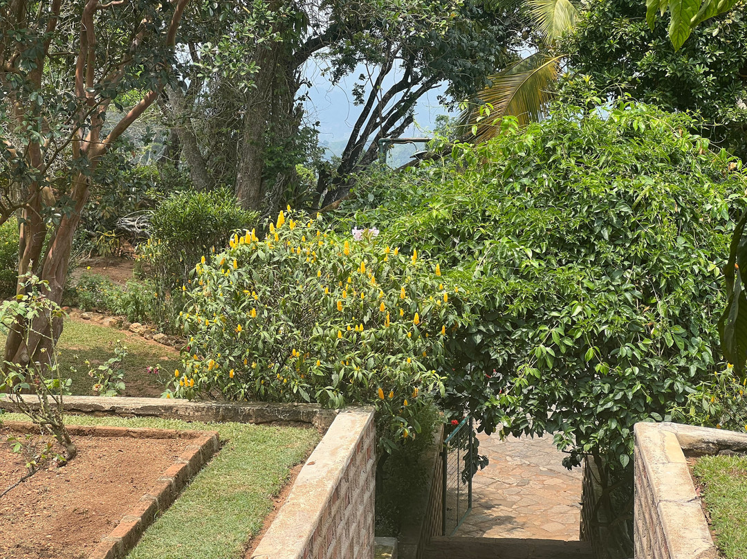 蒙巴顿简易别墅- 康提主图