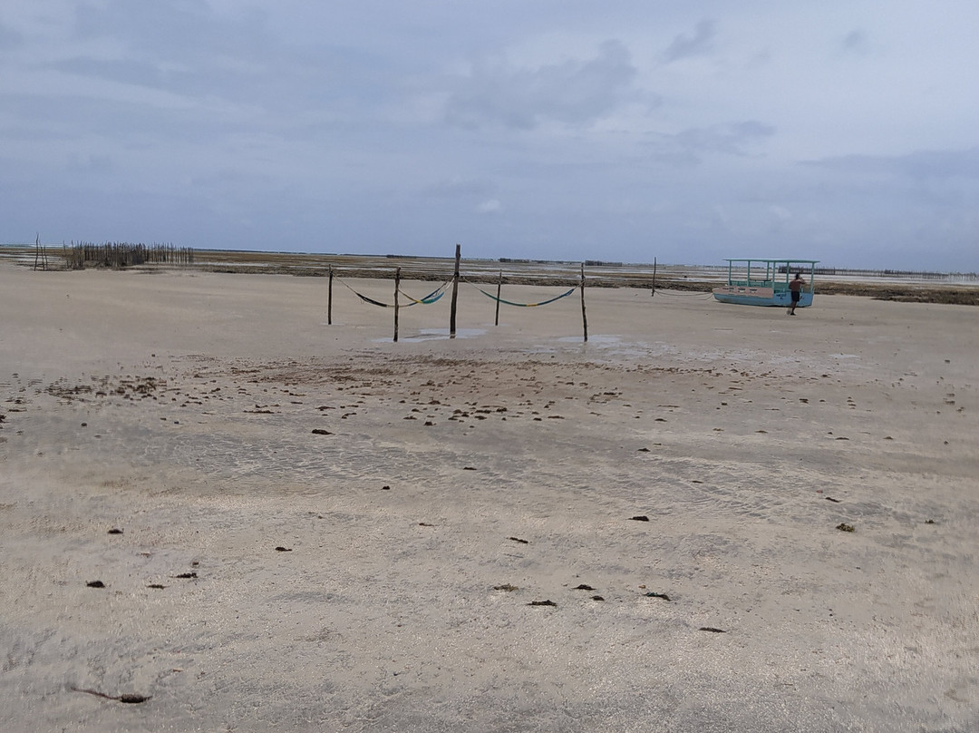 Pousada o Casarao主图