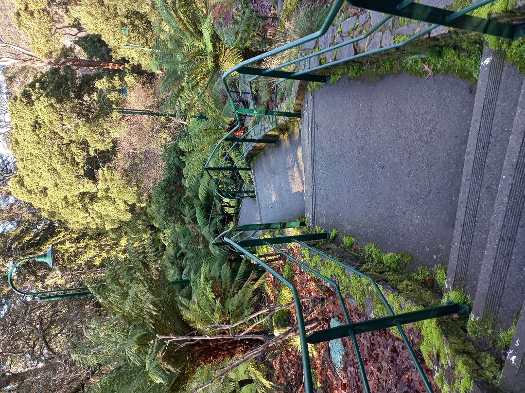 Duck Reach Power Station-朗塞斯顿必去景点