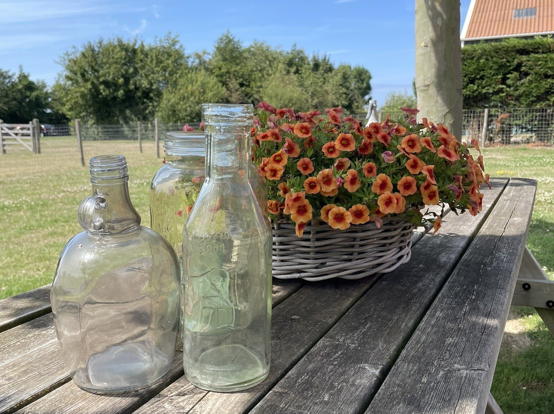 Hof van Renesse主图