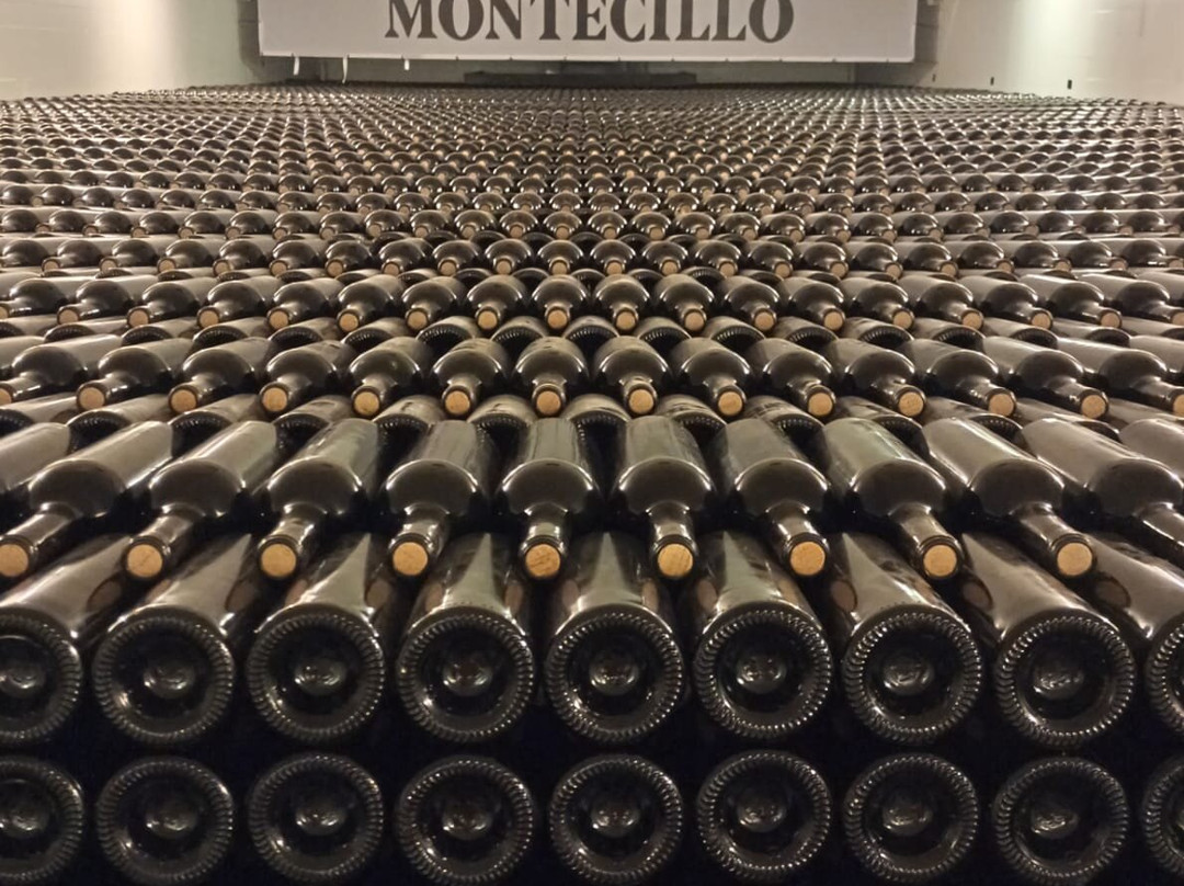 Bodegas Montecillo-Navarrete必去景点