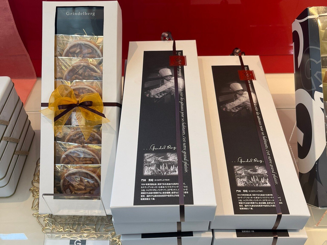 グリンデルベルグ自治医大店主图