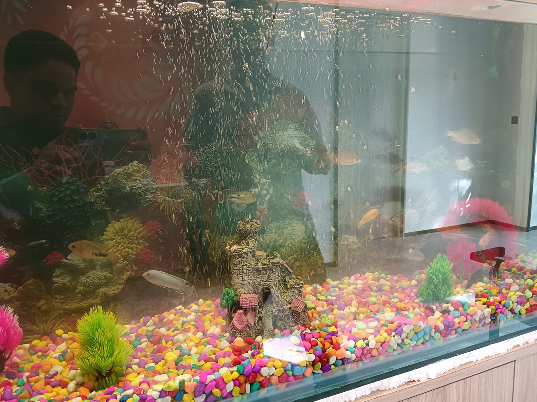 7 Apple Hotel Pratap Nagar, Jaipur主图