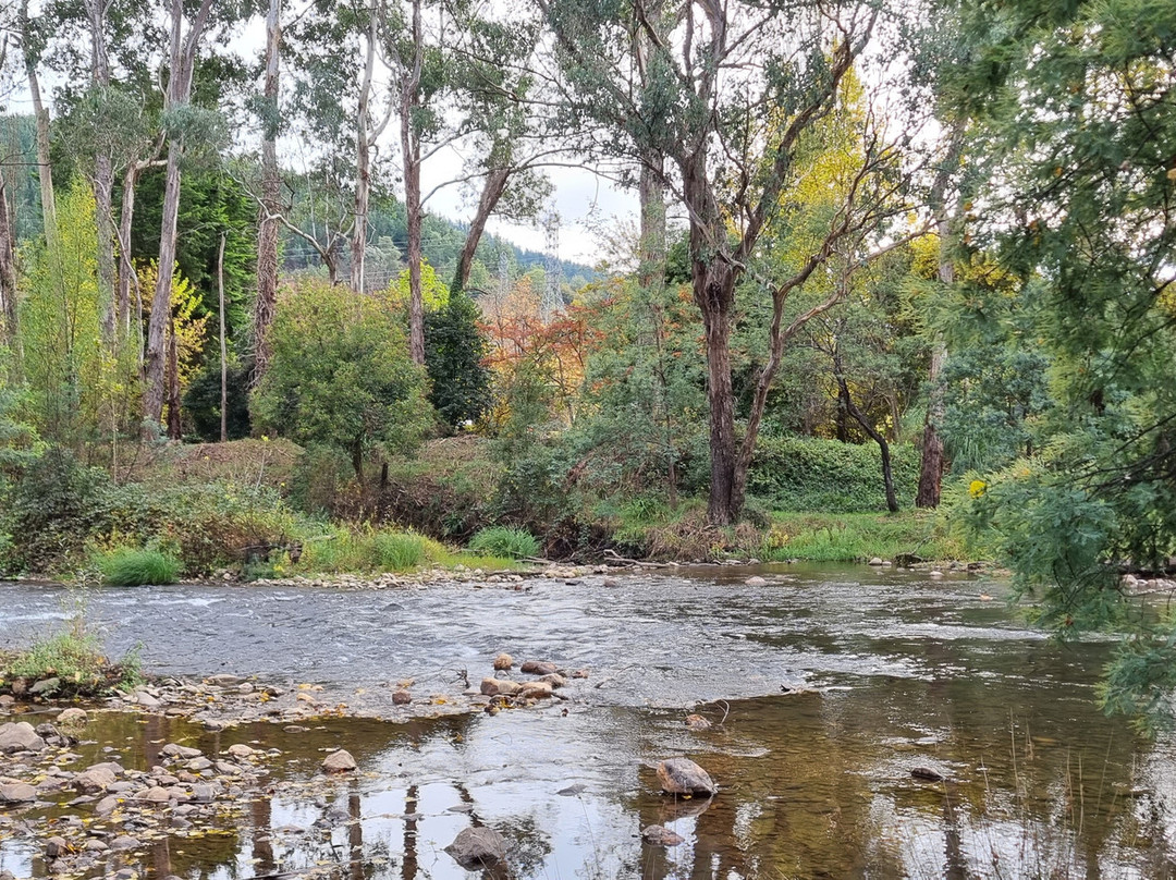 Canyon Walk-布赖特必去景点