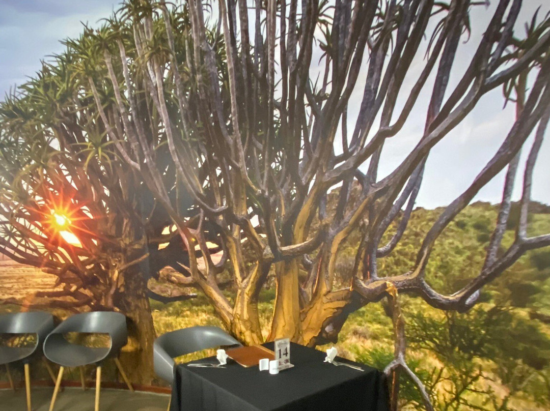 Orange River Cellars-阿平顿必去景点