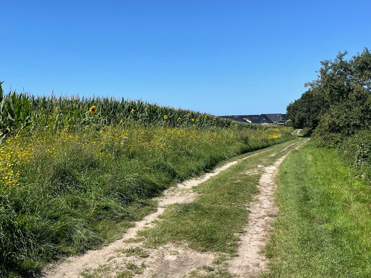Freiräume Cuxhaven-库克斯港县必去景点