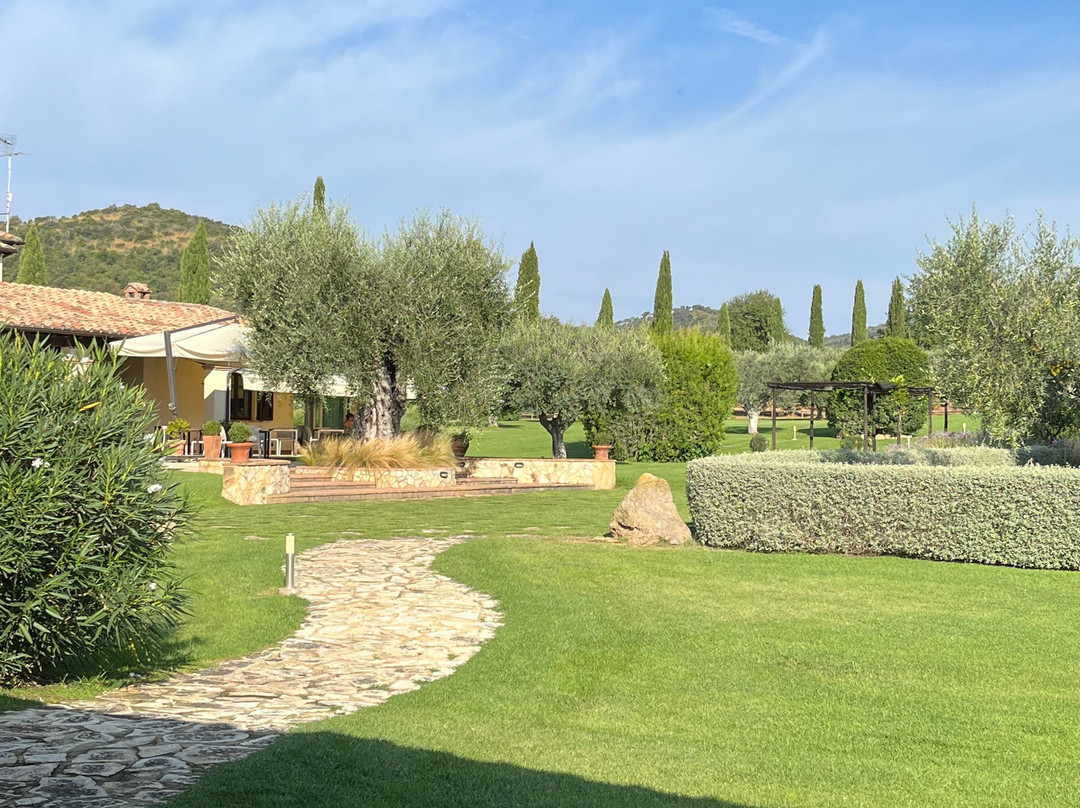Agriturismo Il Casale degli Olivi主图
