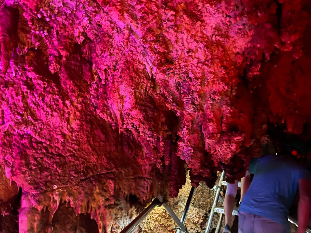 Multi Travel Bulgaria-索非亚必去景点