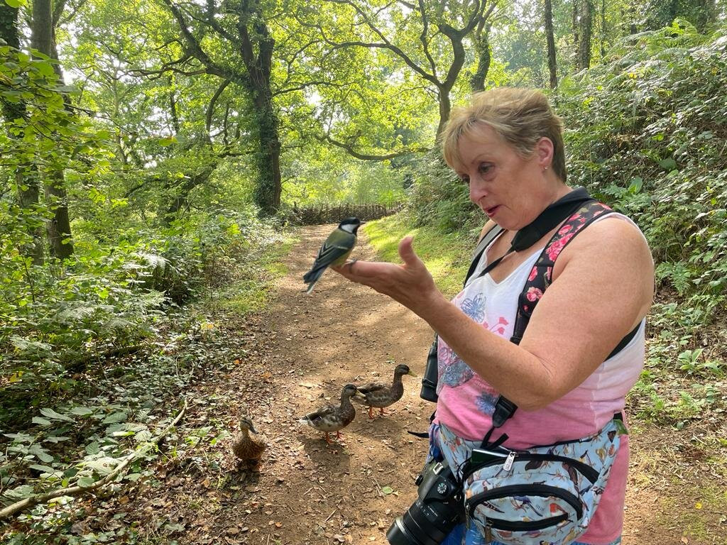 Alverstone Mead Nature Reserve-桑当必去景点