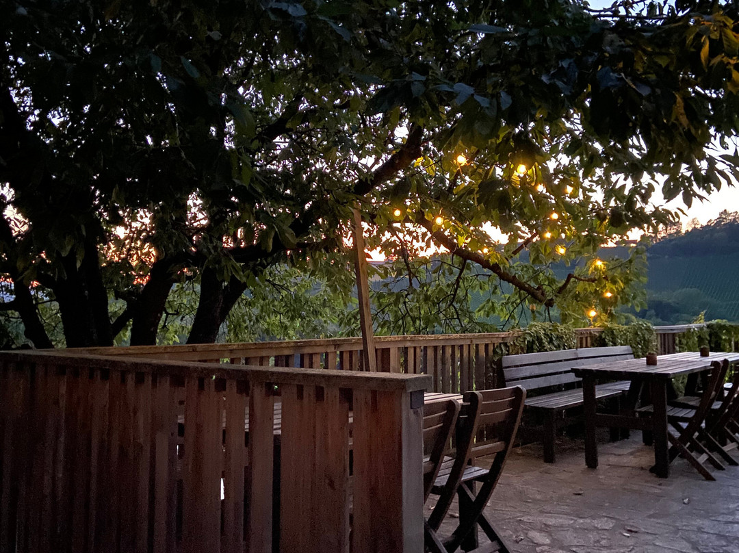 Weinidylle Dreisiebner主图