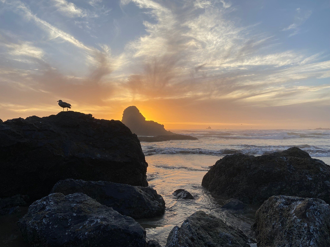 Indian Beach-坎农比奇必去景点