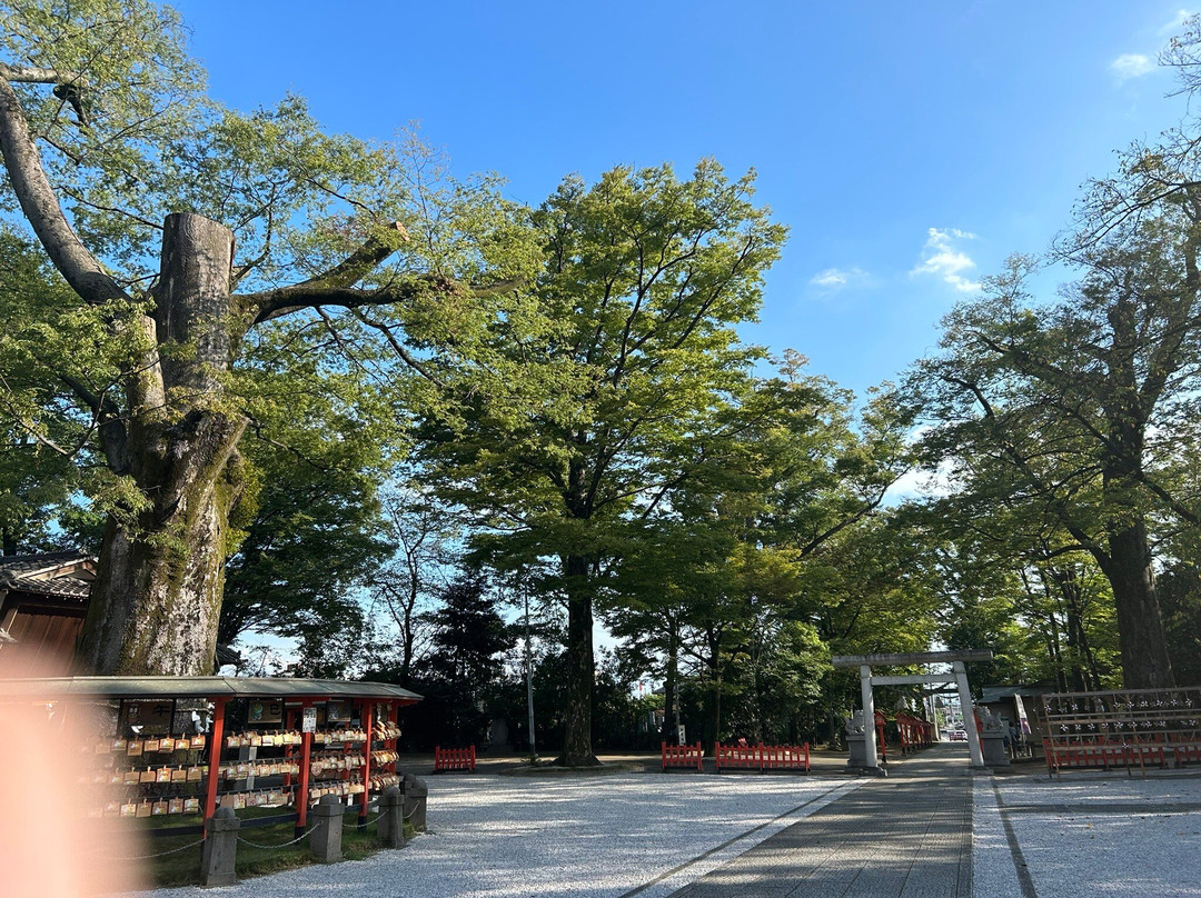 Kozukesoja Shrine景点图片