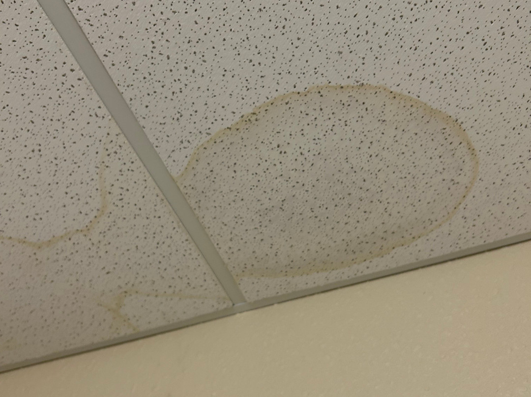 Quality Inn & Suites Downtown Mansfield主图