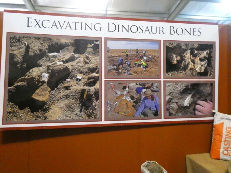 Australian Age of Dinosaurs-Winton必去景点