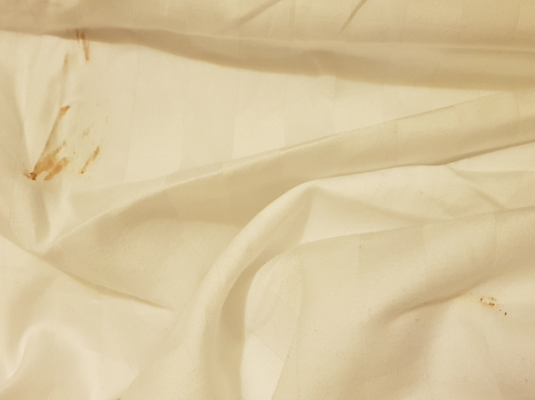 La Figuerola Hotel & Restaurant主图