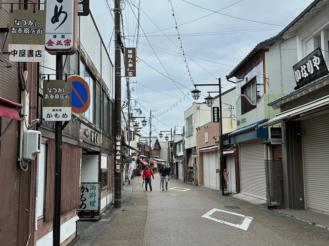 Toyokawa Inari Omotesando-丰川市必去景点