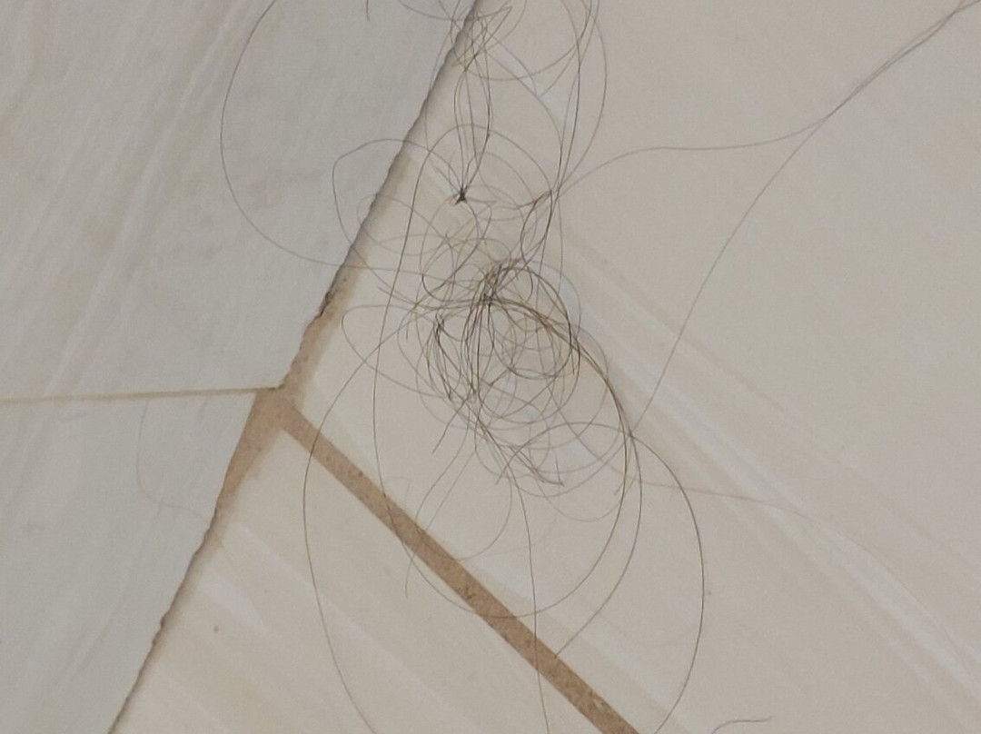 The Queens Hotel主图