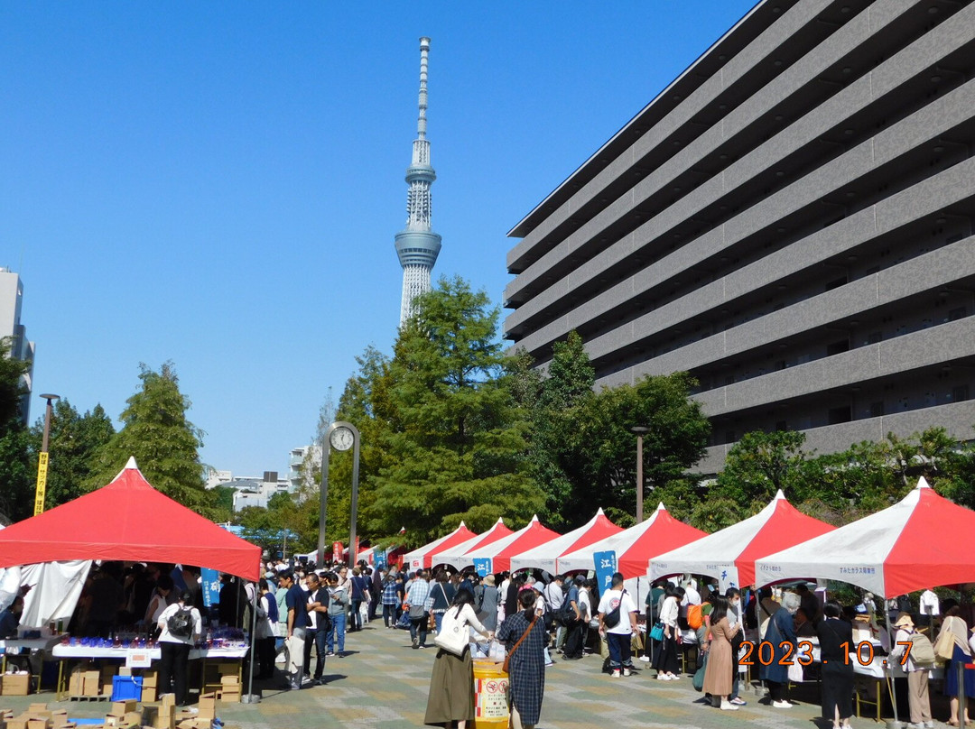 Oyokogawa Water Park-墨田区必去景点