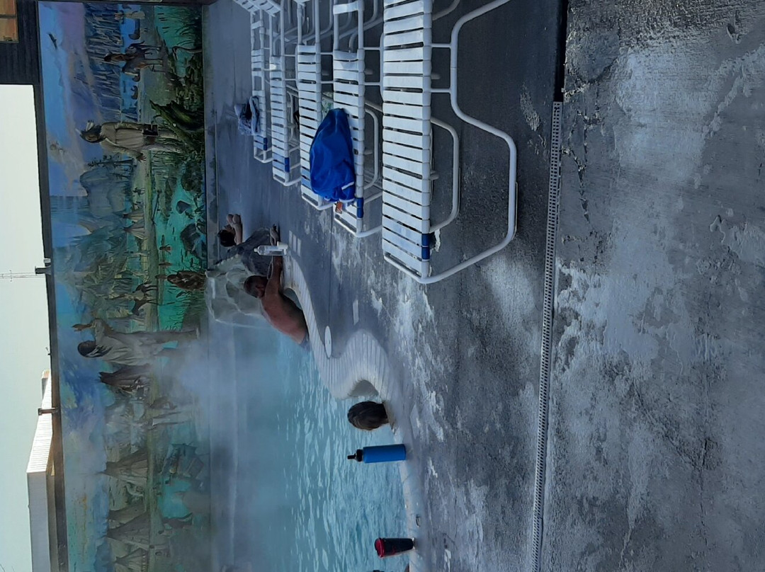 Spa Hot Springs Motel主图