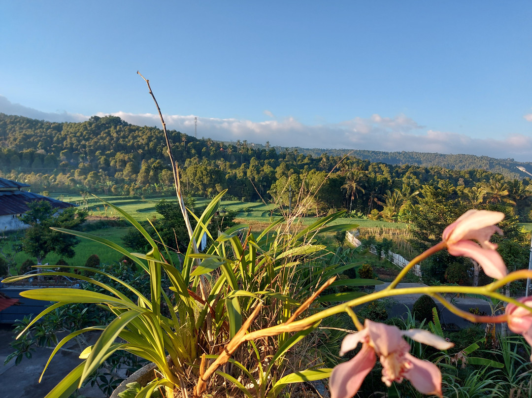 Candra Cottage主图