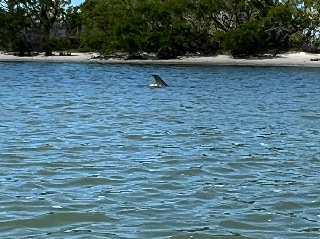 Mike's Coastal Expeditions-博尼塔斯普林斯必去景点