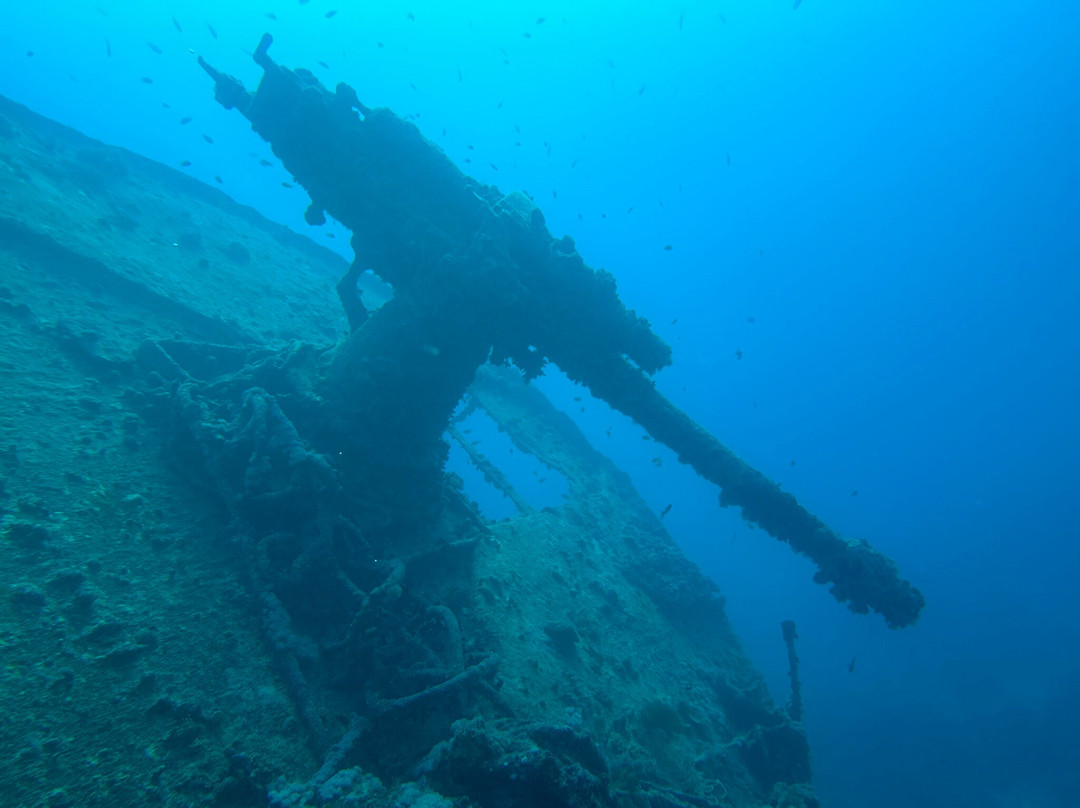 Red Sea Diving College景点图片