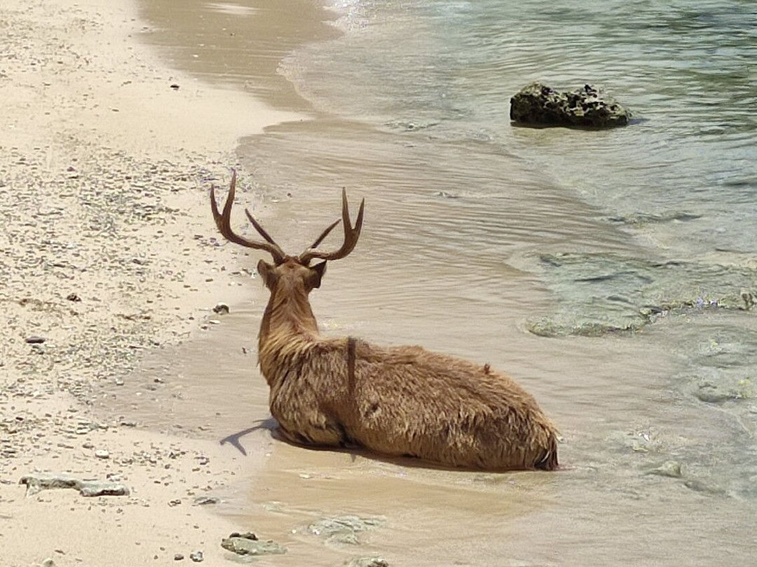 Ponk Bali Adventures Tourist Information Center-佩母德兰必去景点