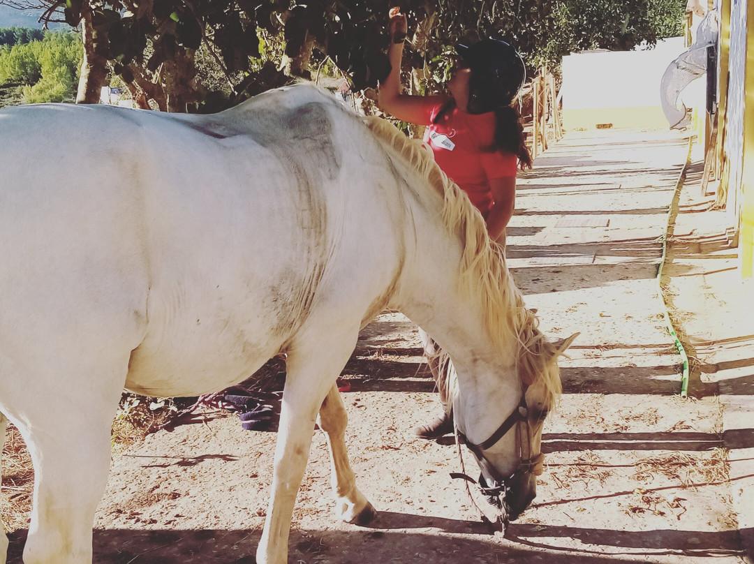 Equi Cascais-卡斯凯什必去景点