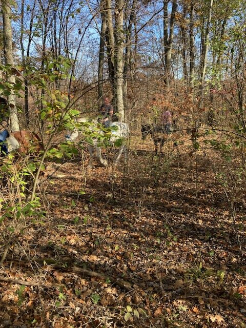 Equestrian Ridge Farm-New Plymouth必去景点