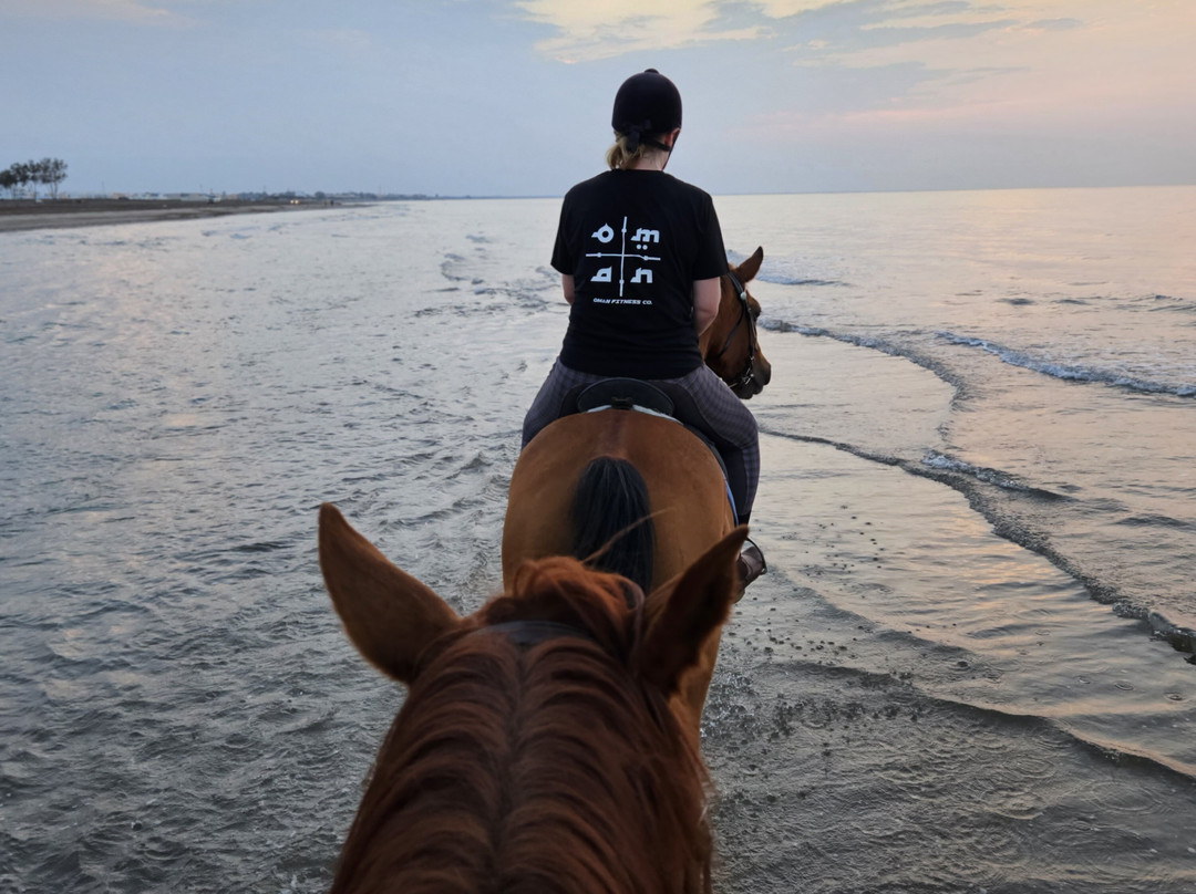 Horse Riding Oman景点图片