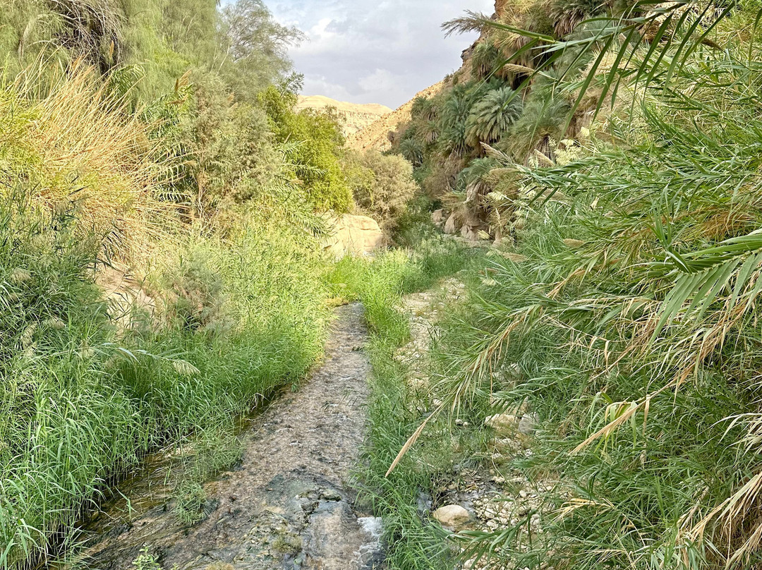 Wadi Bin Hammad-Karak必去景点