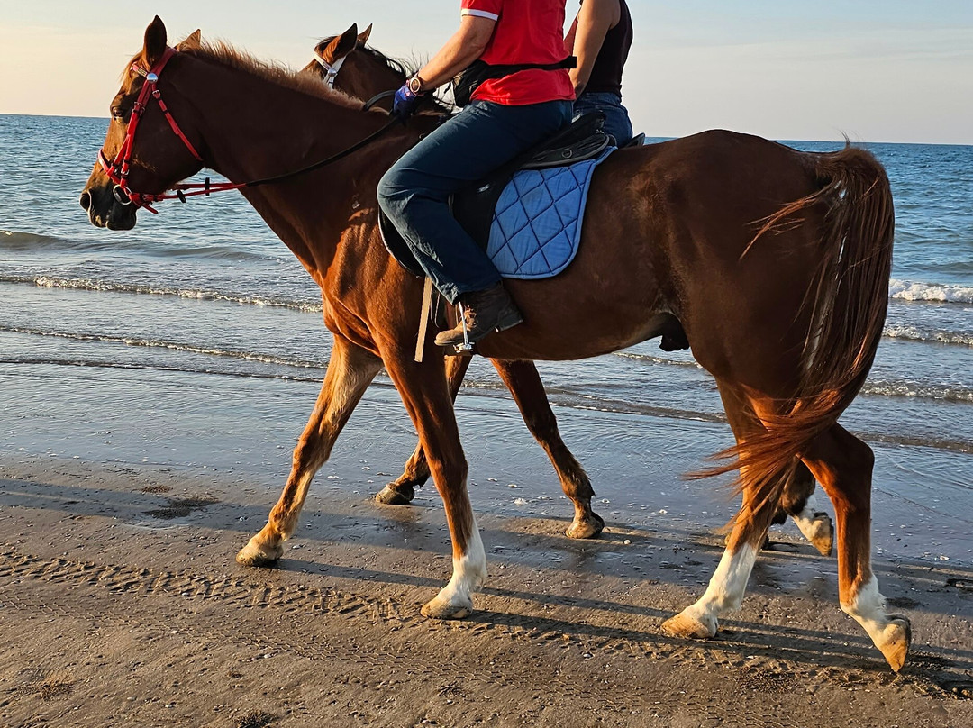 Horse Riding Oman景点图片