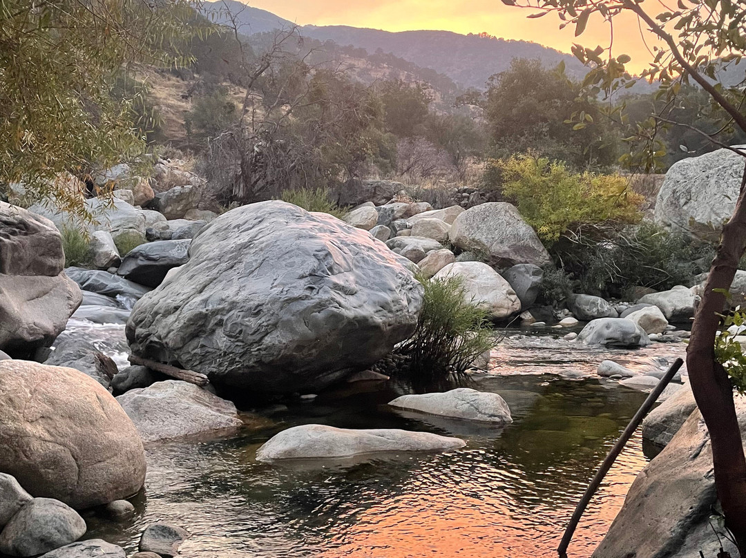 Buckeye Tree Lodge & Cabins主图