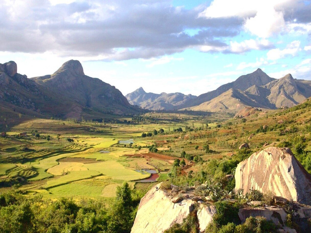 Les Rizières En Terrasses Du Parc National Ambalavao景点图片