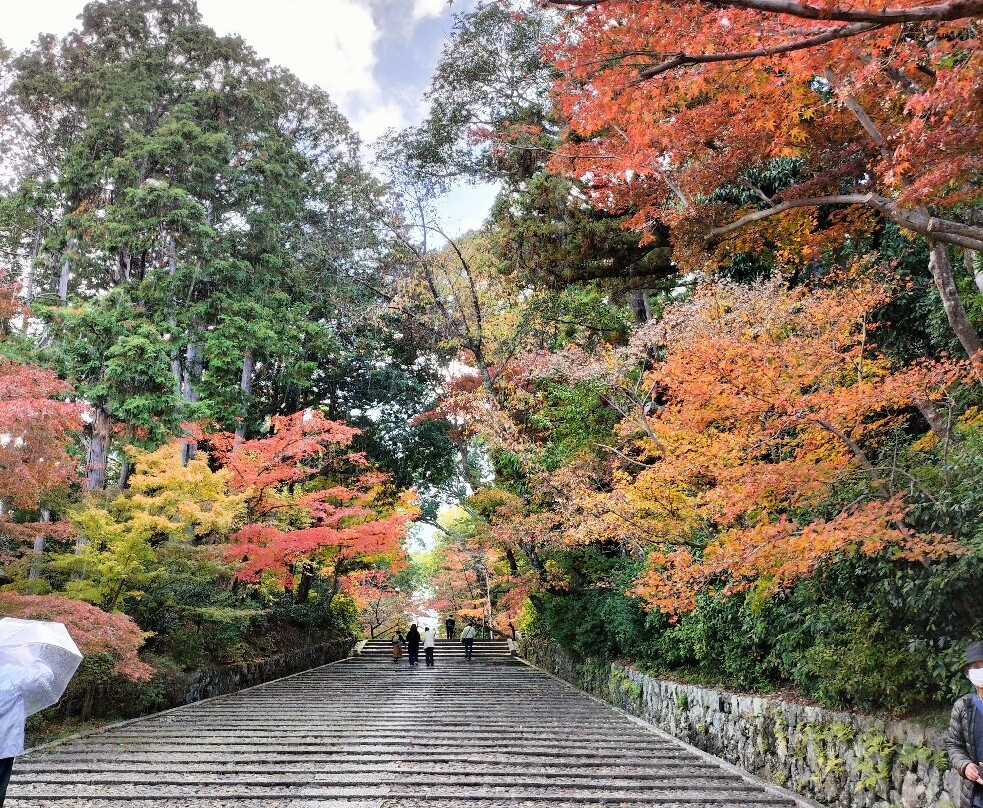 Komyoji Temple-长冈京市必去景点