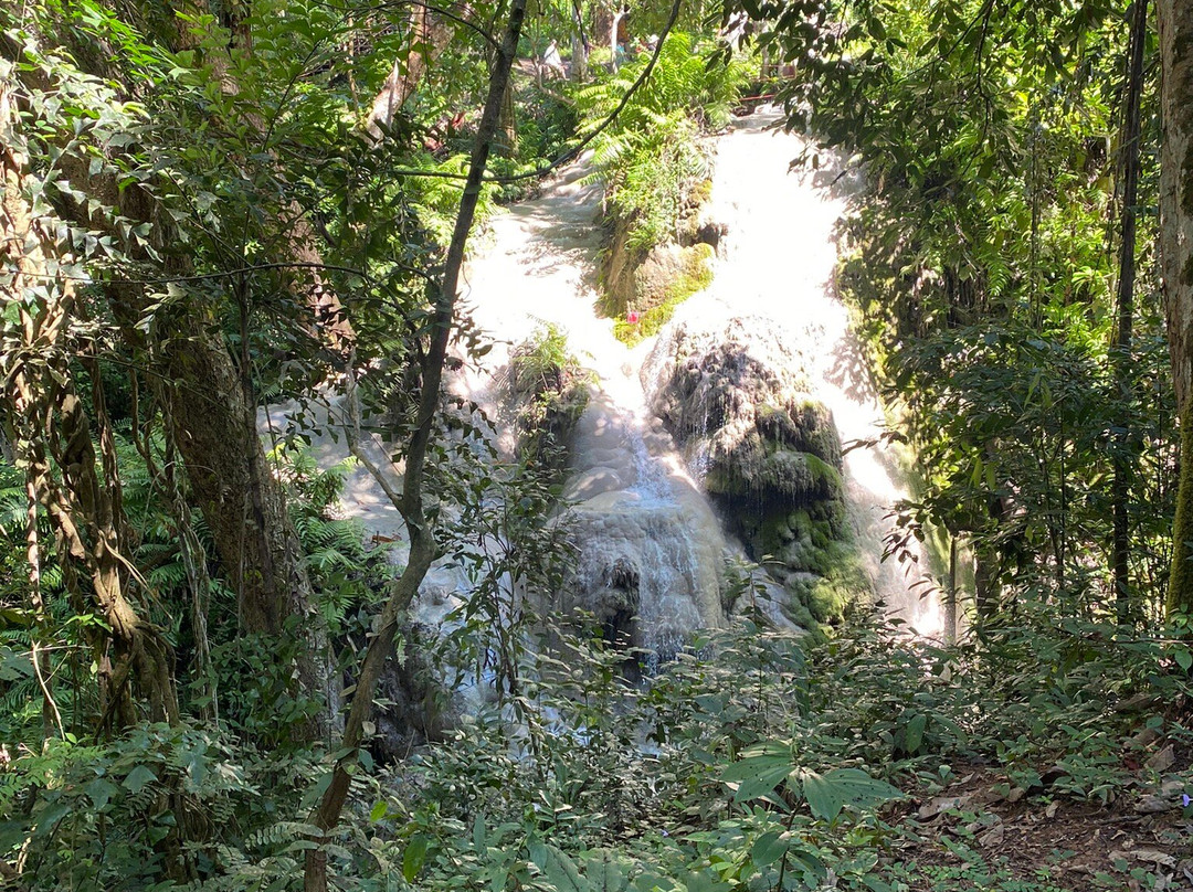 Elephant Care & Grand Canyon Jumping-清迈必去景点