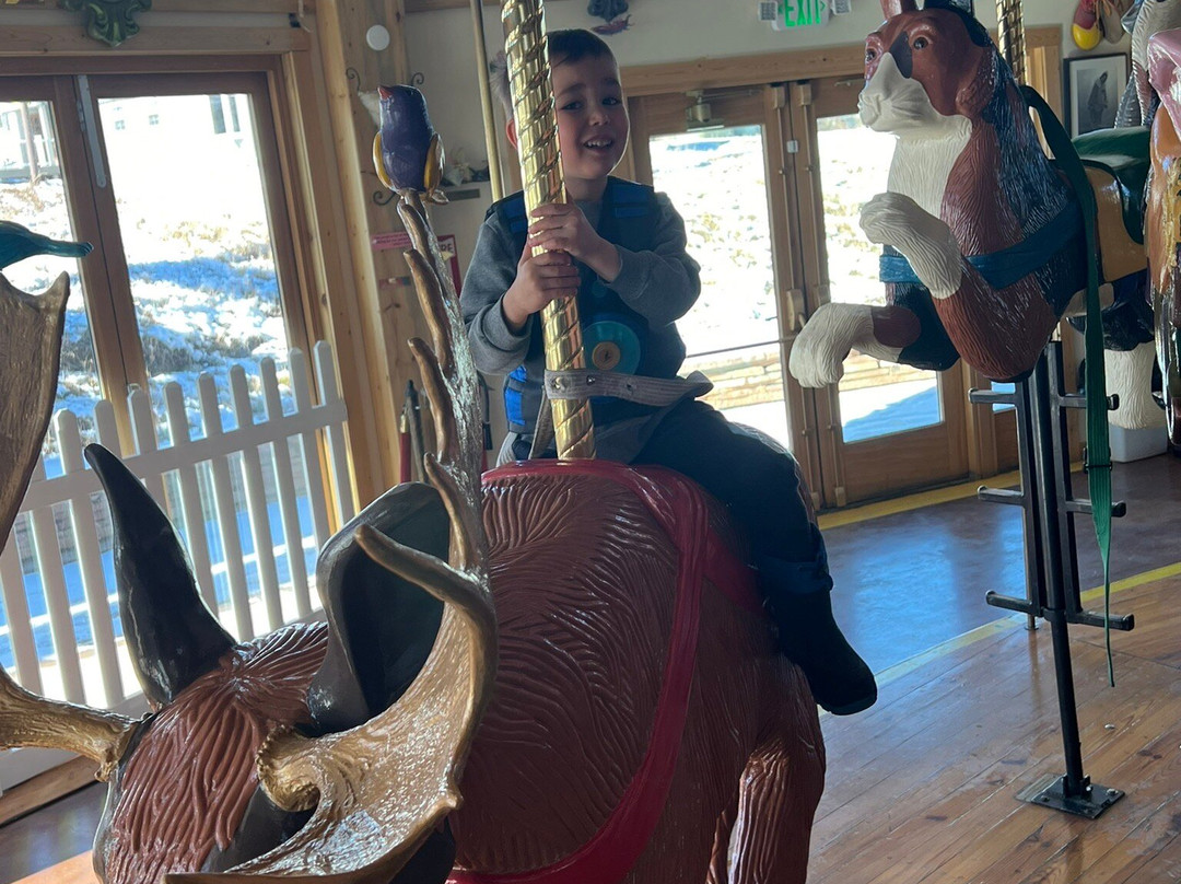 Carousel of Happiness-Nederland必去景点