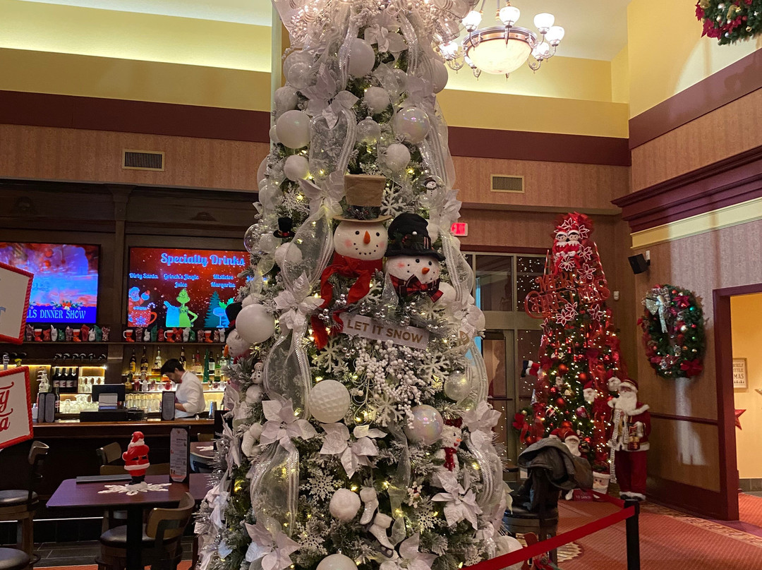 Christmas In The Dells Dinner Show景点图片