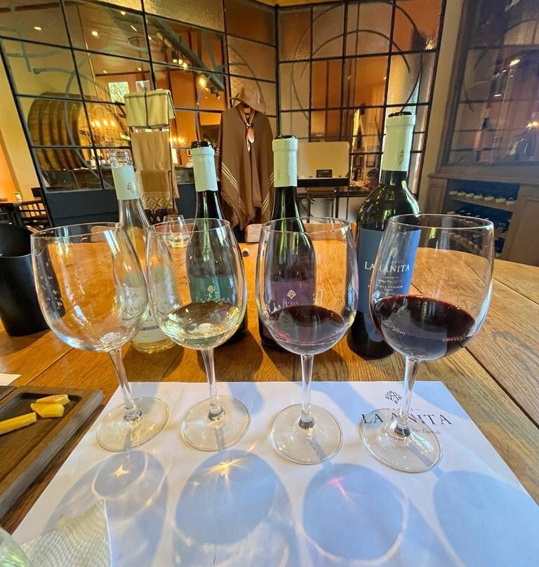 Finca La Anita景点图片