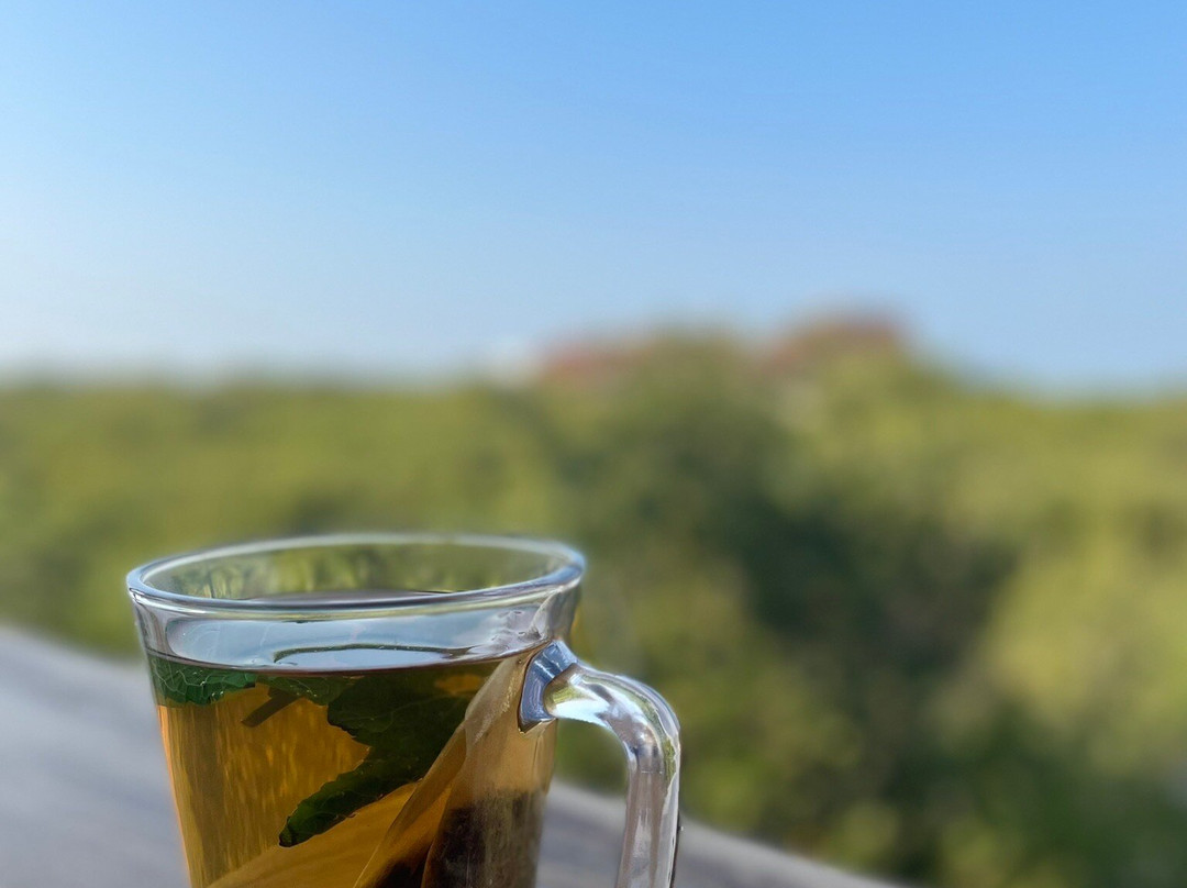 UAQ Mangrove Tours-乌姆盖万必去景点