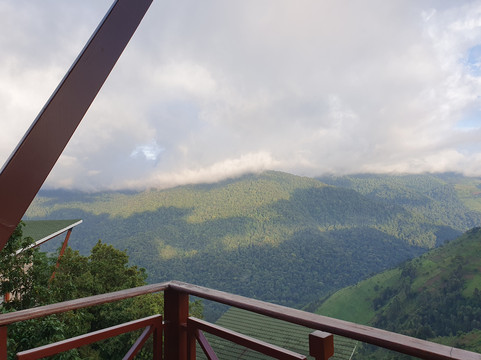 Gorilla Heights Lodge - Bwindi主图