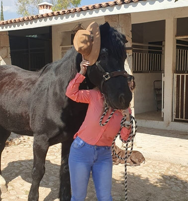 Cabalgando En Tequis-Tequisquiapan必去景点