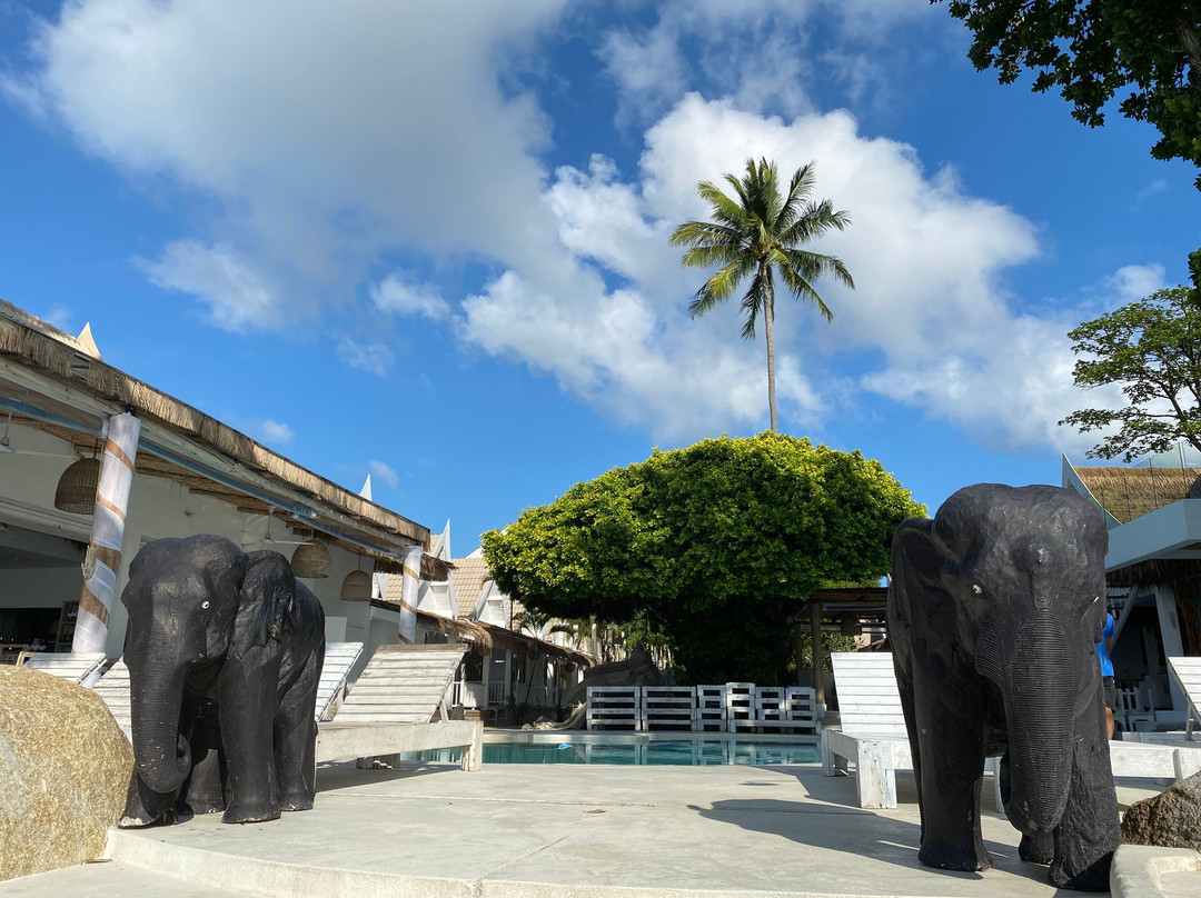 Elephant Beach Club-波普特必去景点