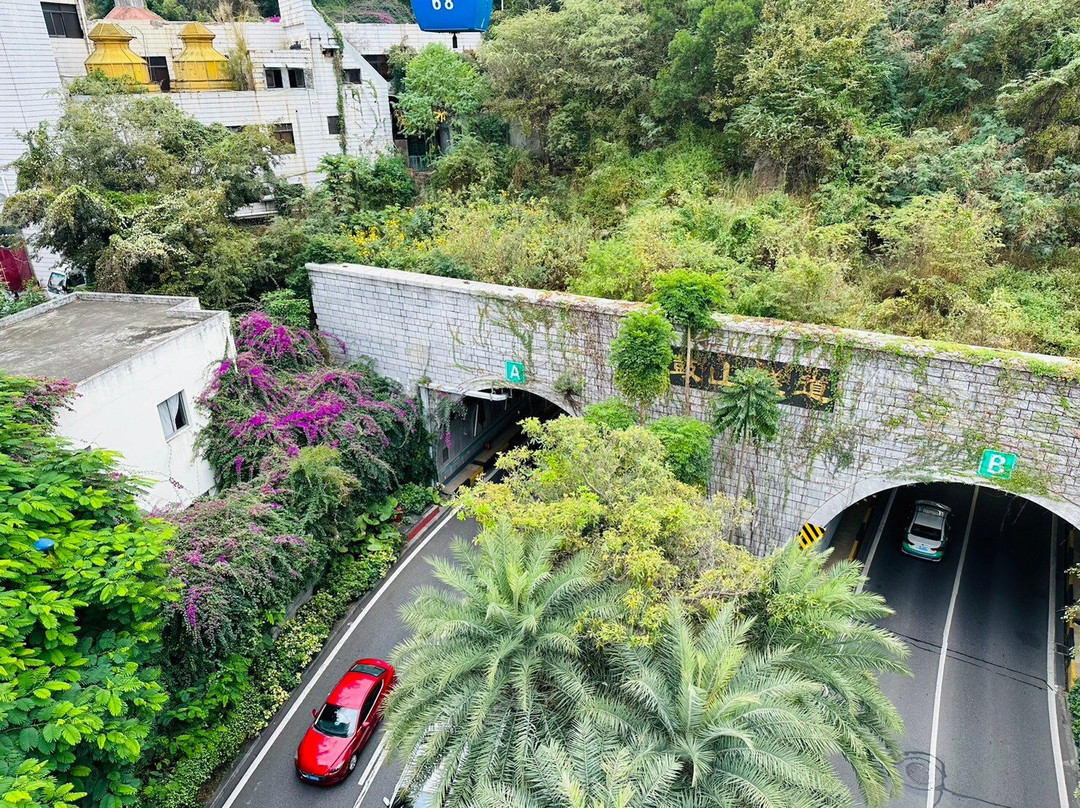 厦门钟鼓索道景点图片