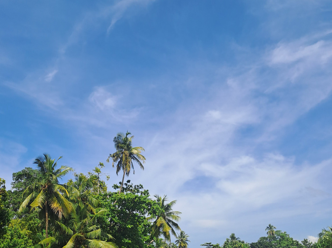 Srilanka by Hanka-希克杜沃必去景点