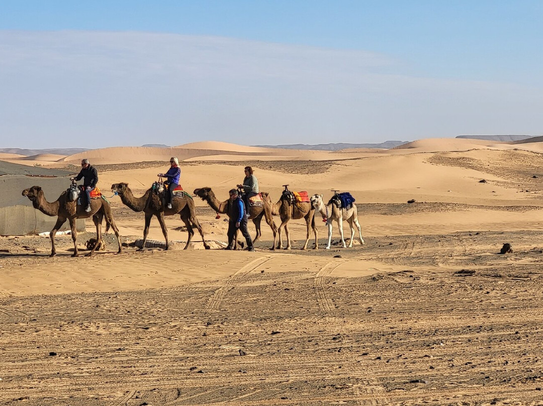 Chico Taxi-丹吉尔必去景点