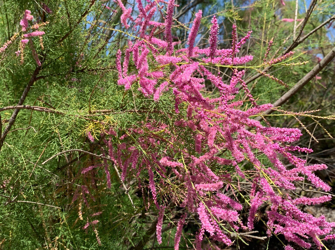 Barrabool Maze Estate-Barrabool必去景点